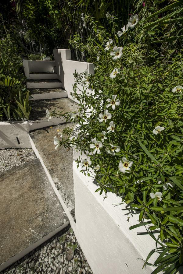 Blanconejo De Montezuma Villa Exterior photo